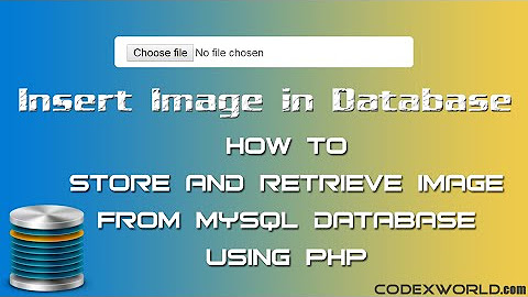 PHP & MySQL